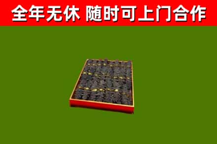 雨城回收海参
